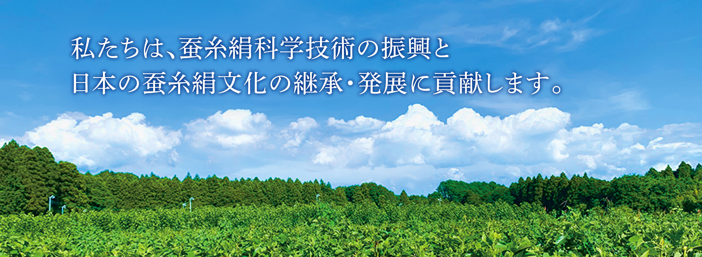私たちは、蚕糸絹科学技術の振興と日本の蚕糸絹文化の継承・発展に貢献します。