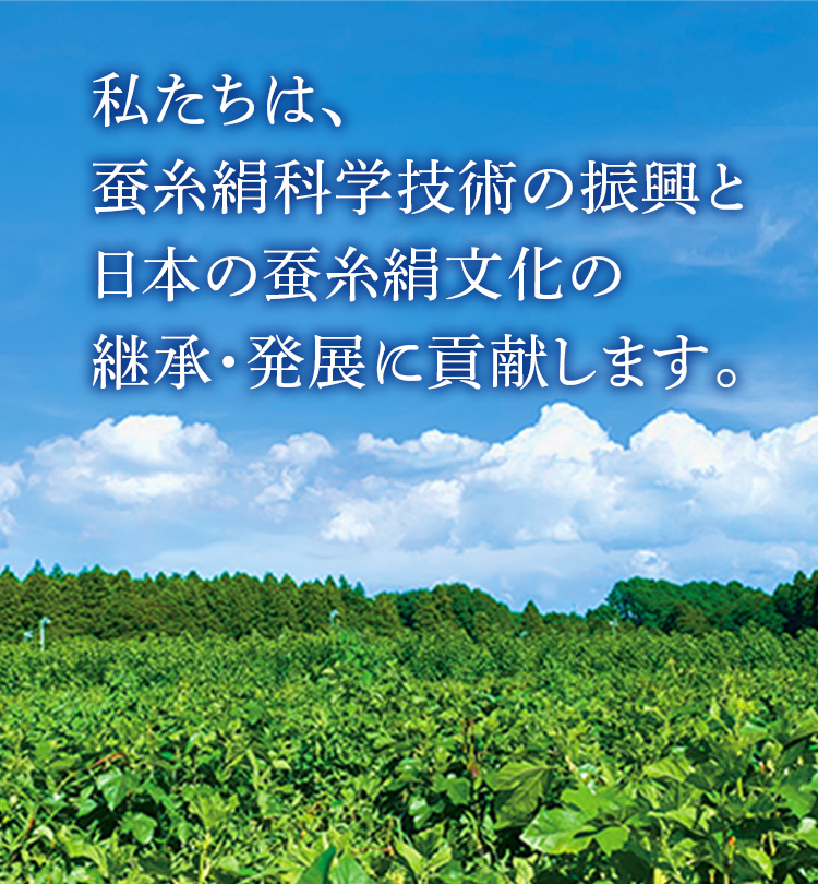 私たちは、蚕糸絹科学技術の振興と日本の蚕糸絹文化の継承・発展に貢献します。