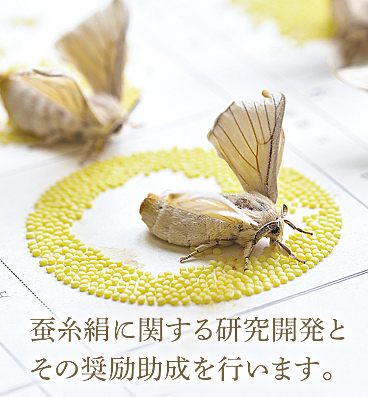 蚕糸絹に関する研究開発とその奨励助成を行います。