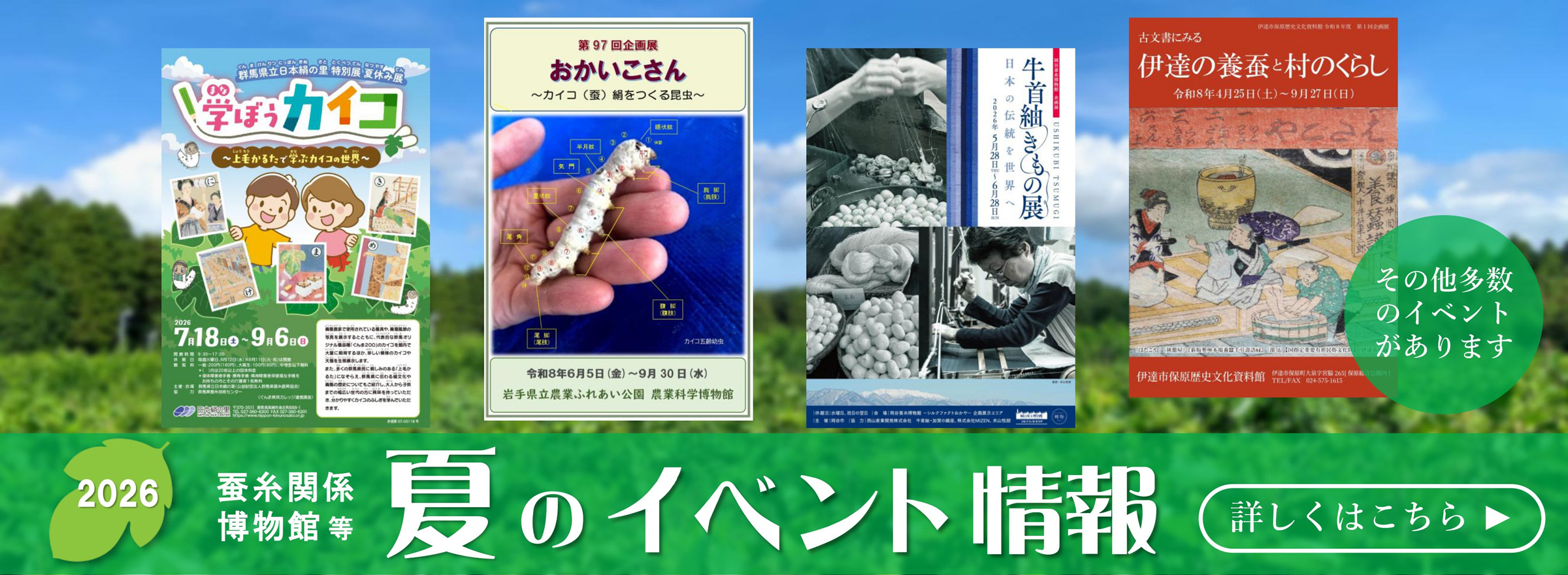 2026年　夏のイベント情報