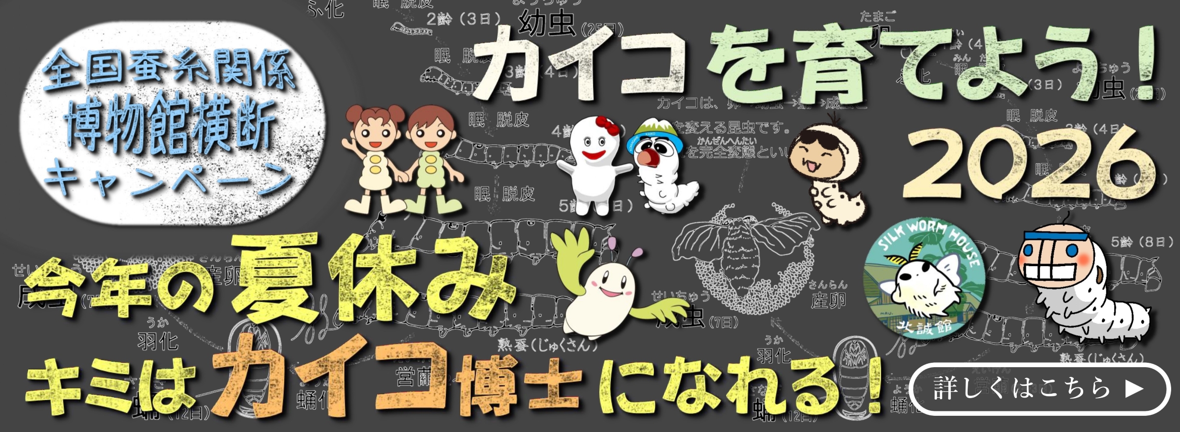 2026年　カイコキャンペーン