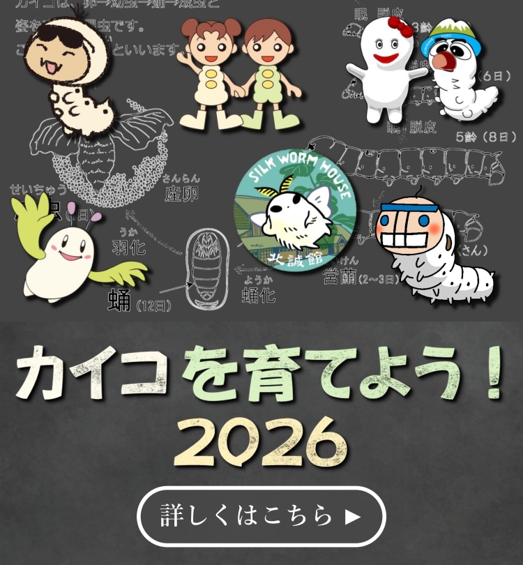 2026年　カイコキャンペーン